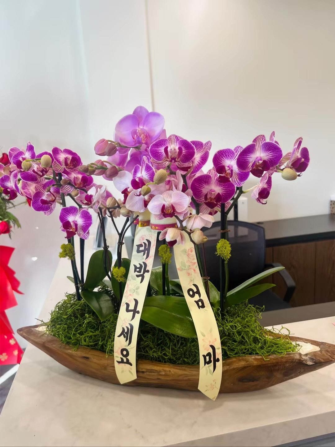 Studio Flowers